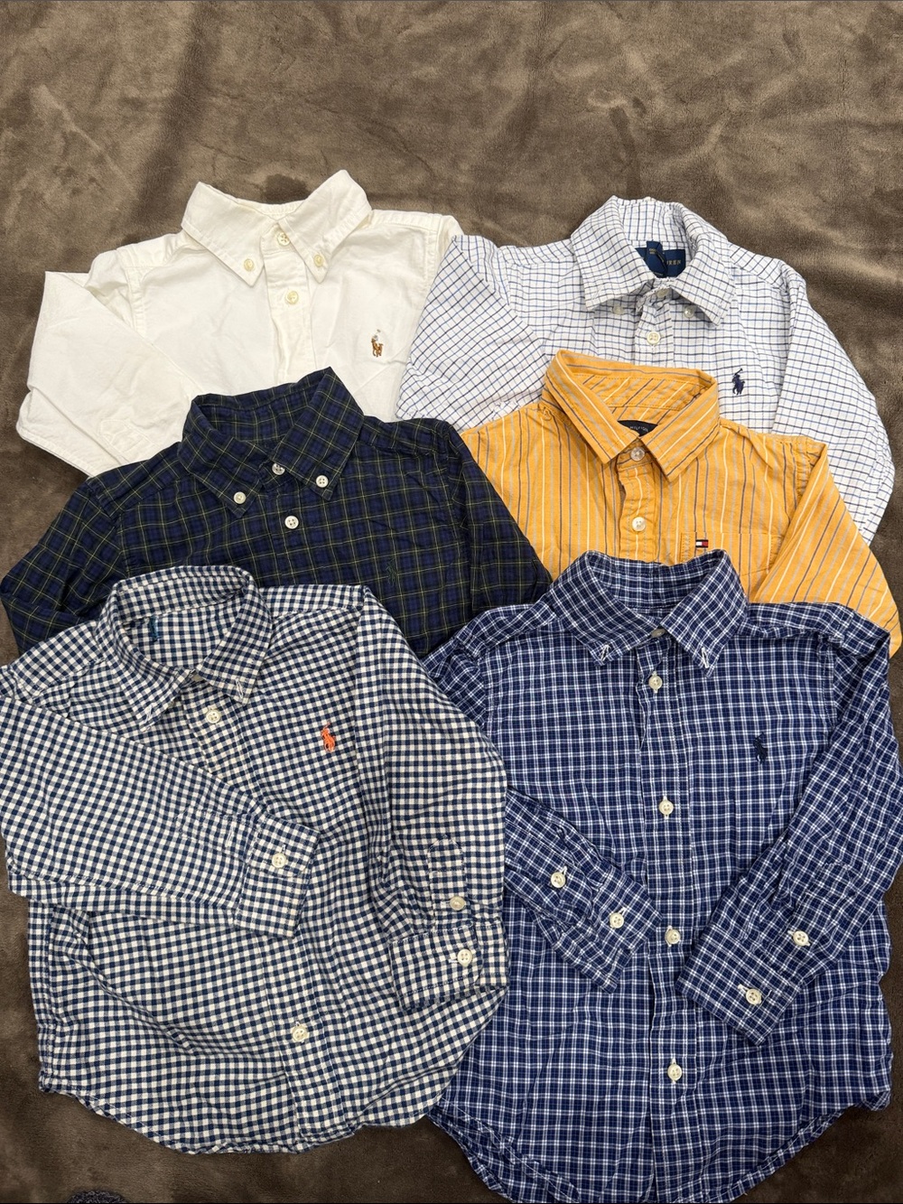 5 POLO RALPH LAUREN bottom down shirt. 1 Tommy Hilfiger.